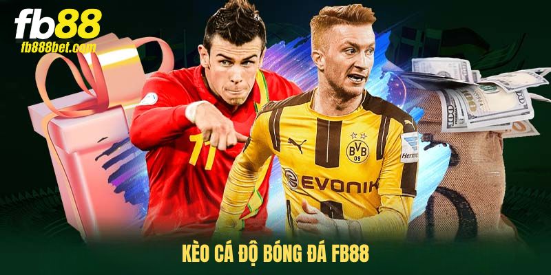 Kèo cá độ bóng đá